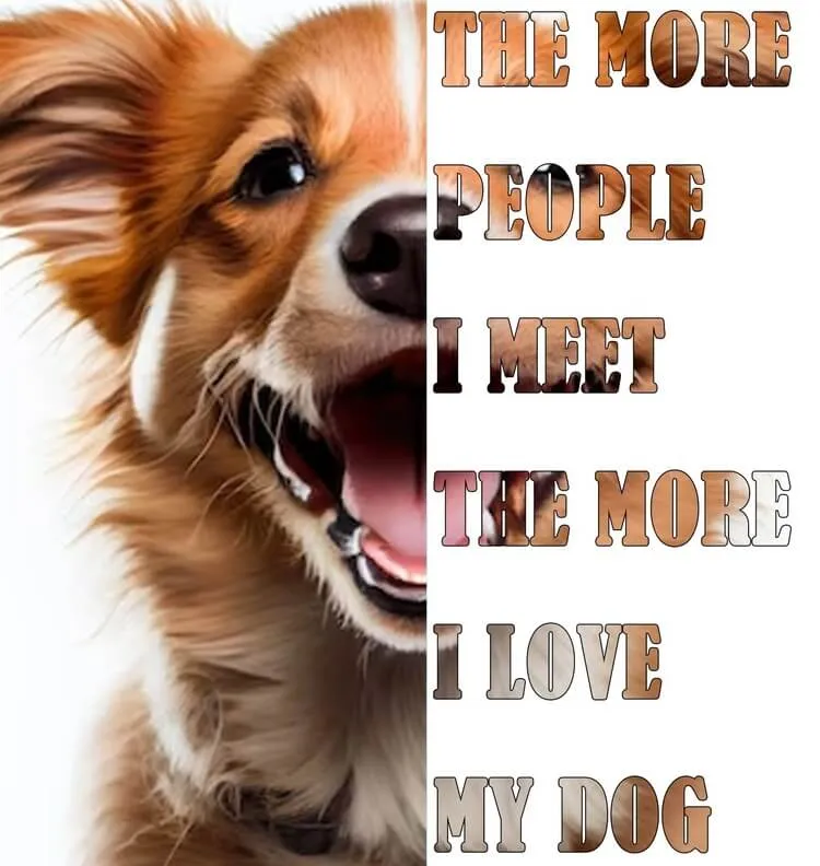 Creative Sample with dog and a quote.